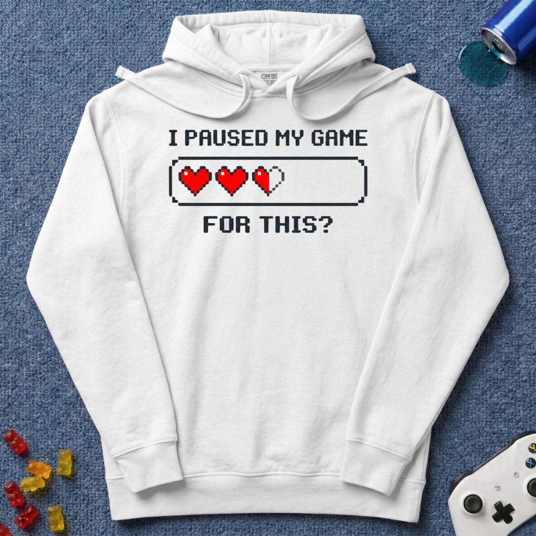 Paused... For This? Hoodie
