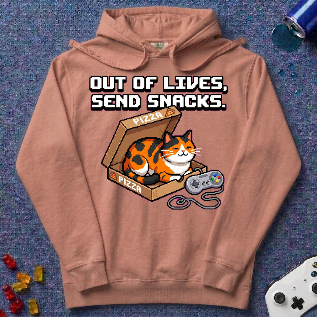 Send Snacks Hoodie